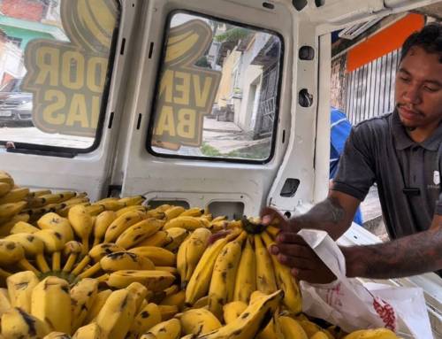 Larguei a CLT para ficar rico vendendo banana